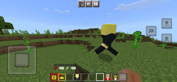 One Piece v40 Addon/Mods For Minecraft PE