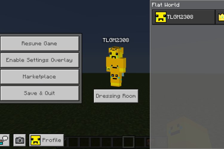 The Ty-el's Settings Overlay UI Pack for Minecraft Bedrock – A Must ...