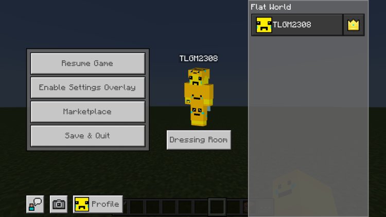 The Ty-el's Settings Overlay UI Pack for Minecraft Bedrock – A Must-Have UI Enhancement