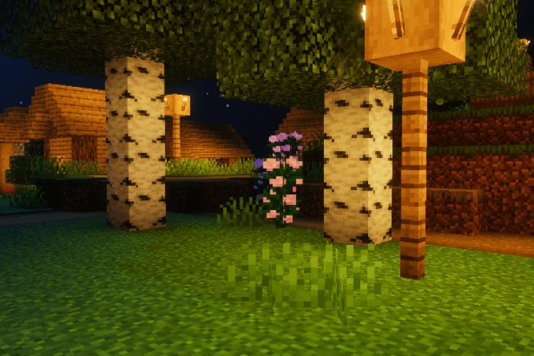 Top 5 BEST Shaders For Minecraft Bedrock 26.30 (2026) - MCPE Central